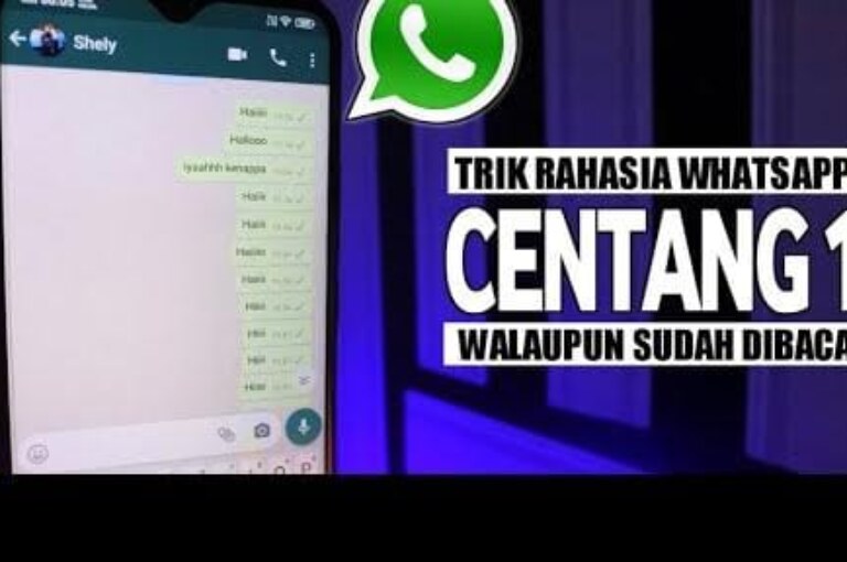 Cara WhatsApp Centang Satu Tapi Online Tanpa Aplikasi