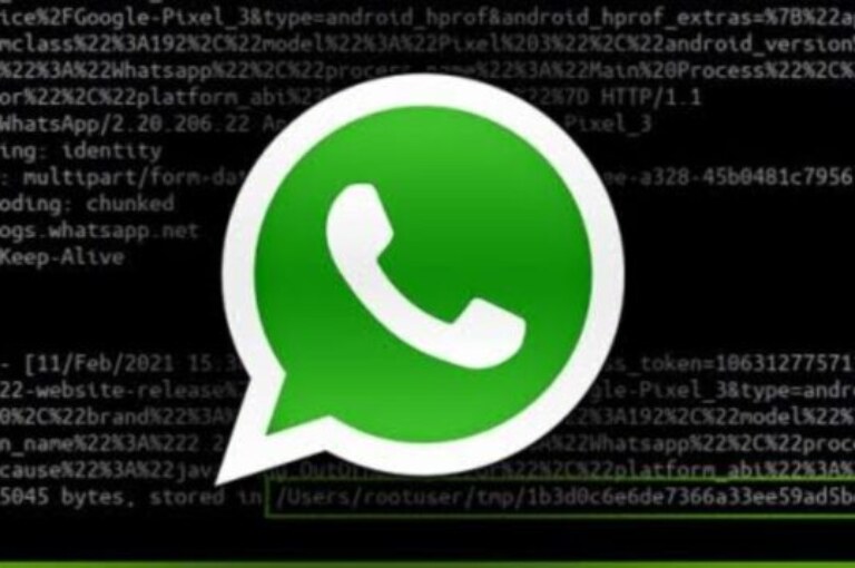 5 Cara Bajak WhatsApp Dengan Metode yang Mudah dan Benar