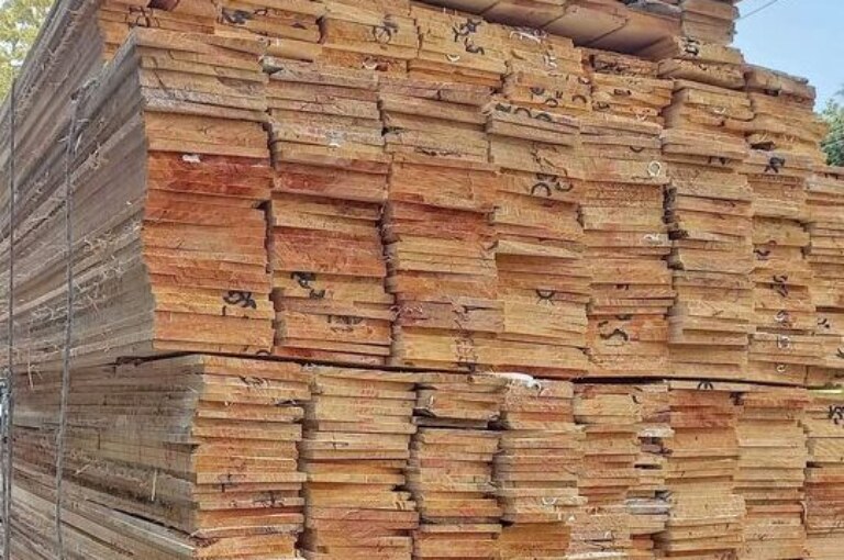 Harga Papan Cor Terbaru Semua Ukuran dari Kayu Rimba Campur