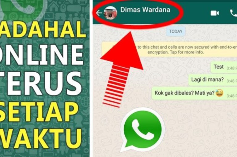 3+ Cara di WhatsApp Agar Tidak Terlihat Online yang Aman