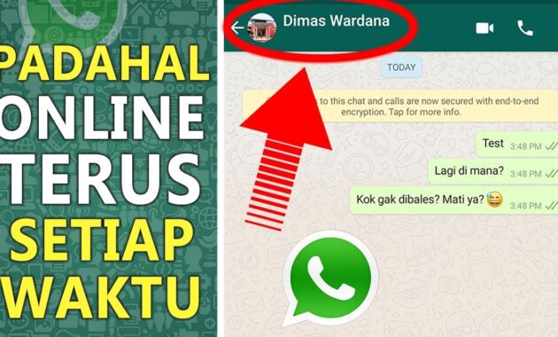 WhatsApp Agar Tidak Terlihat Online